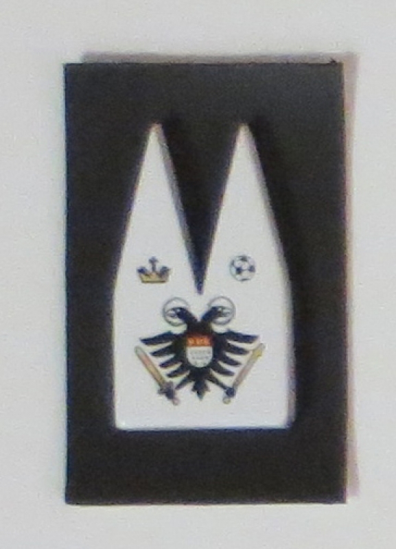 Dom weiß Wappen Fußball