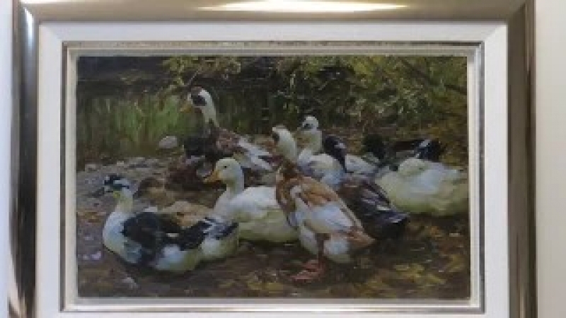 Enten von Köster