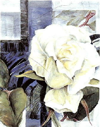 Gerda Nietzer - Weiße Rose